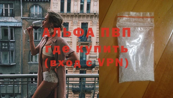 дмт Новокубанск