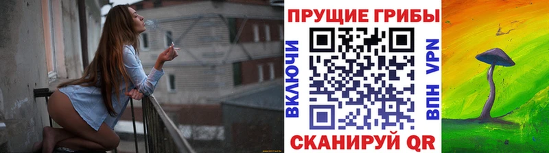 Галлюциногенные грибы ЛСД Отрадный